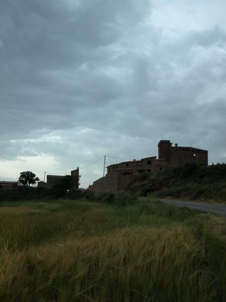 8 de Agost de 2012 '...dic adèu a l'Aranyó, nom bonic i miseteriós -lligat, segurament, amb el de Castroarigenyi, com s'esmenta el castell als documents de l'any 1100, i qui sap si amb el fruit de l'aranyoner, que fa aranyons blavosos'  L'Aranyó -  Giliet de Florejacs