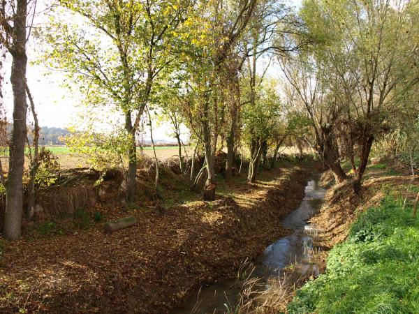 vista de la ribera del riu Sió