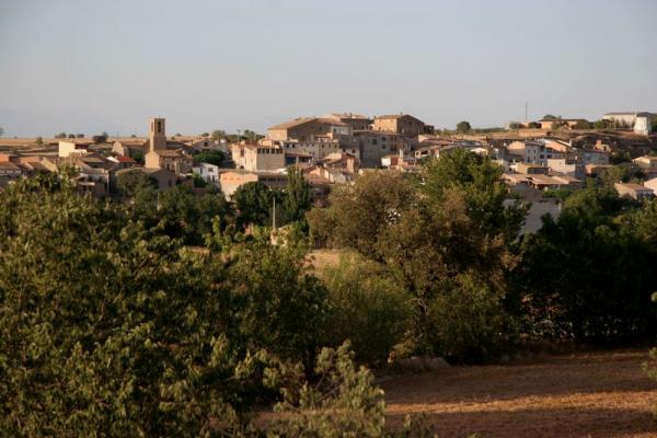 9 de Agost de 2012 Panoràmica  Sedó -  Josep Maria Santesmasses Palou