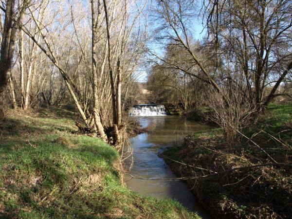 10 de Agost de 2012 'Pel Llobregós hi baixa poca aigua, i bruta segurament per les plujes de la nit'   Vall del Llobregós -  Giliet de Florejacs