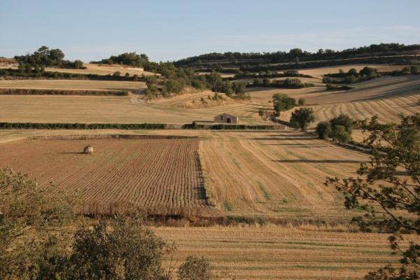 12 de Agost de 2012 Paisatge prop d'Estaràs  Estaràs -  Josep Maria Santesmasses Palou