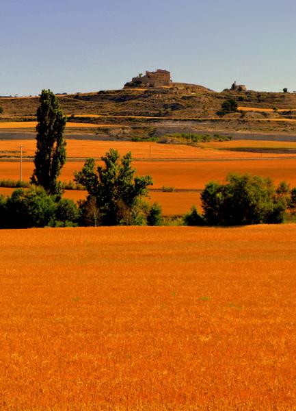 13.8.2012 ' . El fet és que, ara, Timor és abandonat. No hi ha ningú.'  Sant Pere dels Arquells -  Angelina Llop