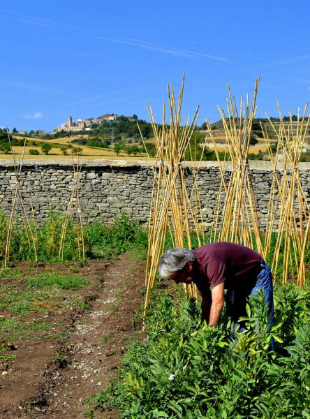 13.8.2012 Detall d'un hort  Els Hostalets -  Angelina Llop