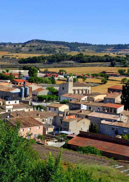 13 de Agost de 2012   Sant Antolí i Vilanova -  Angelina Llop