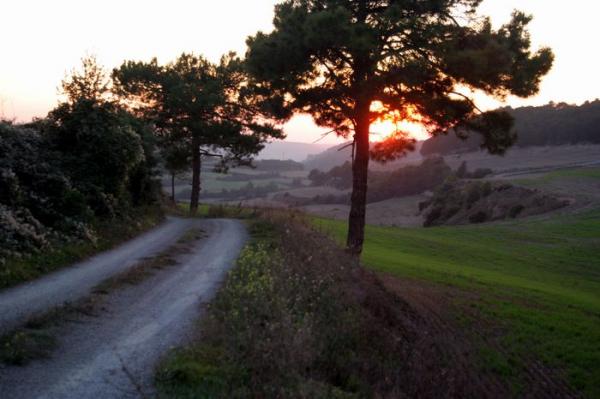 14.8.2012 Camí de Suró a l'Albió  Suró -  Josep Maria Santesmasses Palou