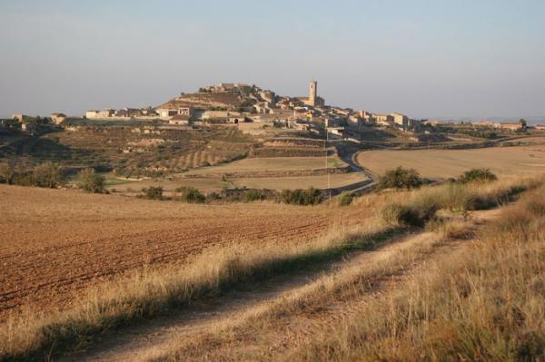 15.8.2012 '..El seu perfil, de lluny, ja fa efecte'  Granyena de Segarra -  Josep Maria Santesmasses Palou