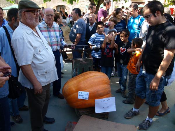 6 de Octubre de 2012 Antonio Prat, de Cervera, amb la carbassa guanyadora, de 96 kg  Sedó -  Jaume Moya