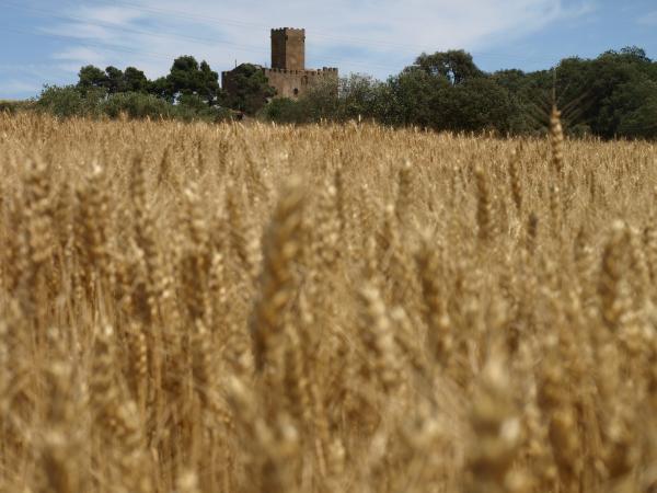 18.10.2012 Castell de les Sitges  Florejacs -  Camins de Sikarra