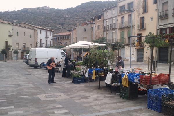 18 de Octubre de 2012 mercat animat  Torà -  pele