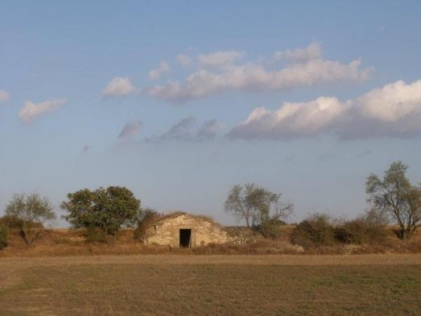 25 de Setembre de 2011 Cabana  Montcortès de Segarra -  Anna Vilaró