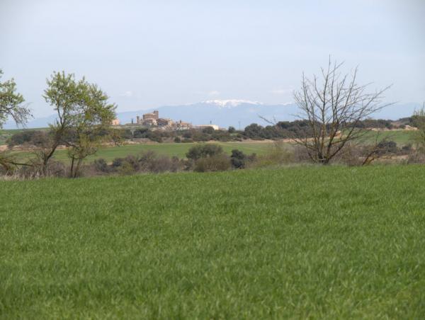 20 de Abril de 2010   L'Aranyó -  LOM