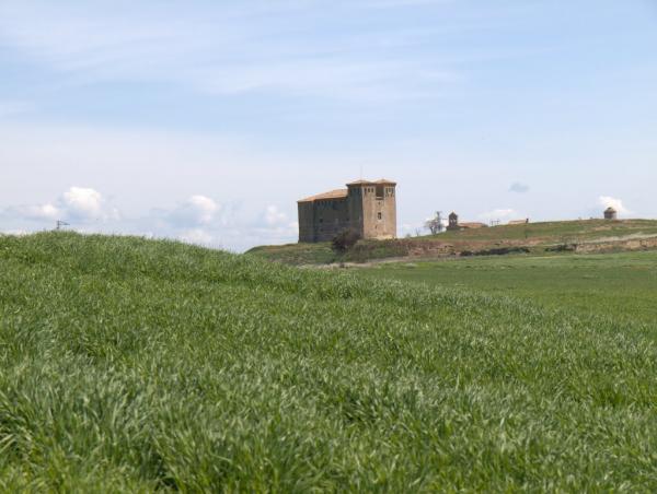 20.4.2010   Montcortès de Segarra -  LOM