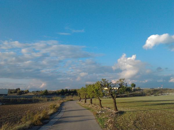 11 de Novembre de 2012 Passeig una tarda de Novembre   Tordera -  Ramon Prats Farré