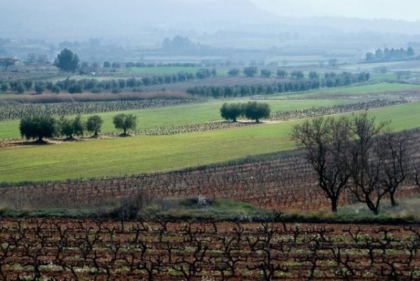 Presentació d'El Camí a la Segarra i l'Urgell - Santa Coloma de Queralt