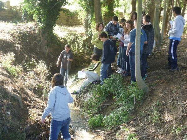 19 de Novembre de 2012 Projecte Rius: alumnes de l'IES Antoni Torroja  -  Consell Comarcal de la Segarra