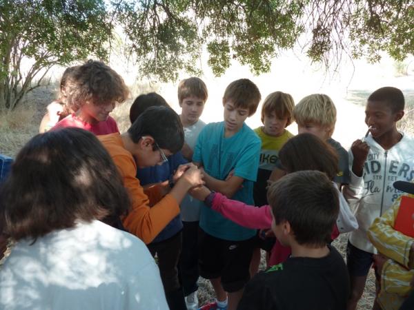 19 de Novembre de 2012 Projecte Rius: alumnes de l'IES Segarra  -  Consell Comarcal de la Segarra