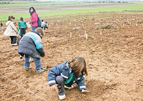 Els alumnes sembrant els cereals - Verdú Els alumnes sembrant els cereals - Verdú