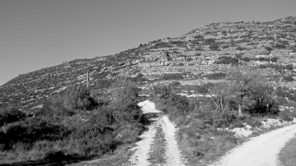 6 de Gener de 2013 la creu de la bastida  Torà -  Ramon Sunyer