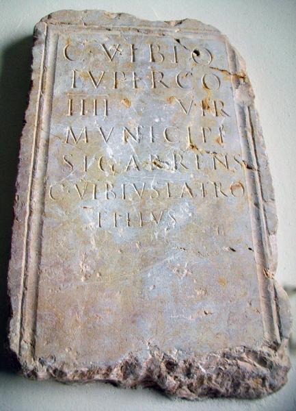 8.3.2010 Làpida de Caius Vibius Lupercus va tenir el càrrec de magistrat del municipi de Sigarra  Els Prats de Rei -  Lola Lucas