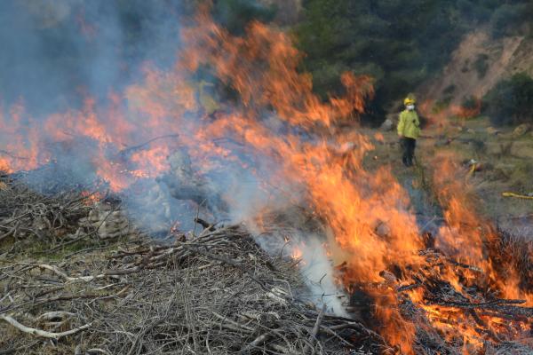 Comença la prohibició de fer foc en zones forestals