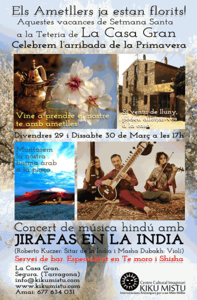 cartell Concert de Música Hindú - 