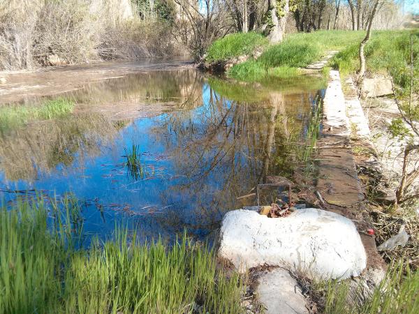 16 de Abril de 2013 Resclosa al Llanera  Torà -  Ramon Sunyer