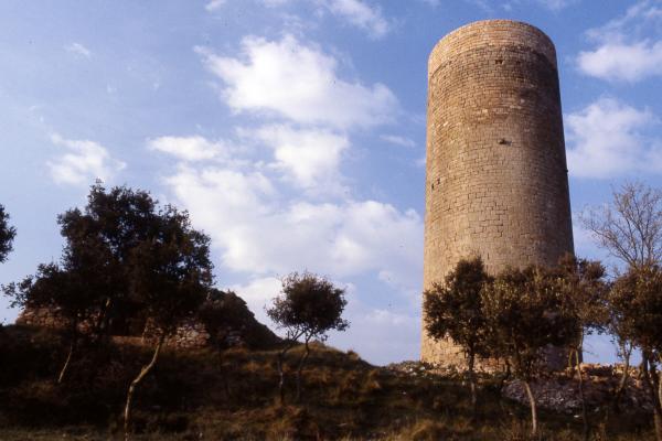 27.4.2010 Torre de la Manresana  Els Prats de Rei -  Ramon Sunyer