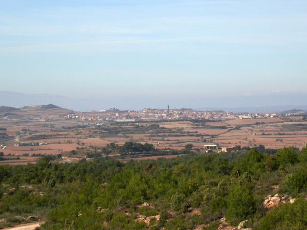 27 de Abril de 2010 Vista de la zona de Calaf  Els Prats de Rei -  Ramon Sunyer