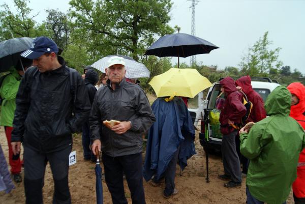 28 de Abril de 2013 La pluja no va impedir la realització de la 32a Caminada Popular de Torà  L'Aguda -  Teresa Grau