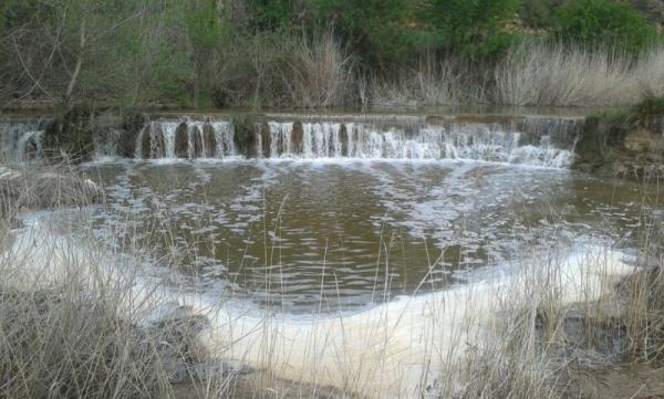 2 de Maig de 2013 La peixera del duc al llanera  Torà -  jm santesmasses