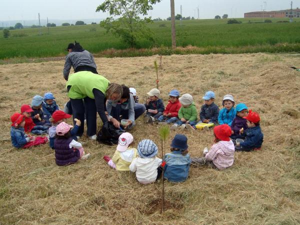 14 de Maig de 2013 Els escolars realitzen una plantada d’arbres  Sant Guim de Freixenet -  CC Segarra