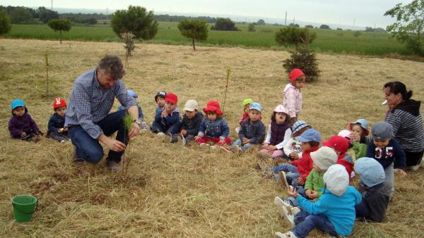 14.05.2013 Els escolars realitzen una plantada d’arbres  Sant Guim de Freixenet -  CC Segarra