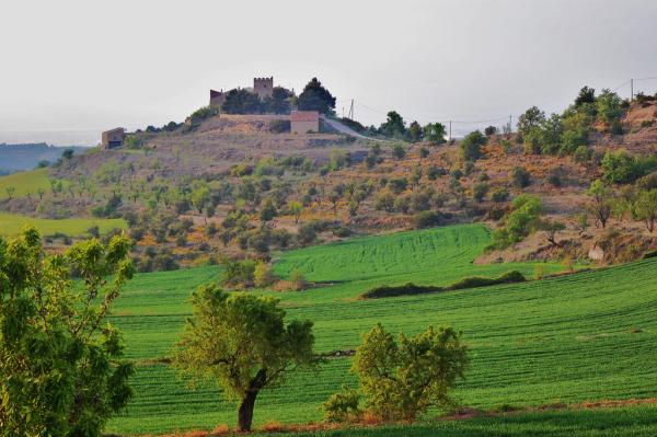 17 de Maig de 2013 Vista general  Passanant -  M.Rosa Ferré