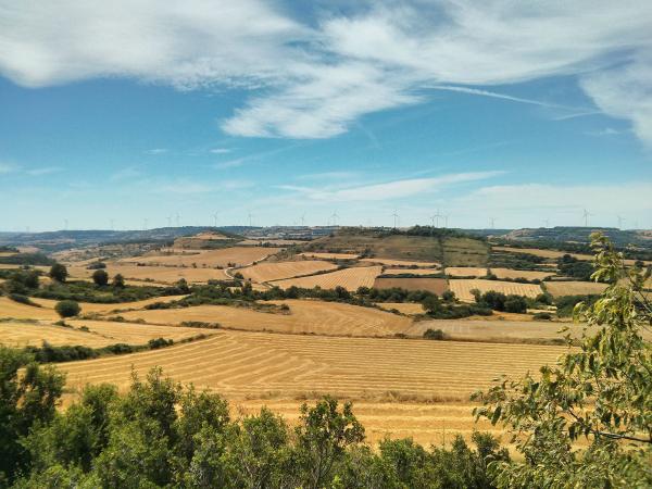 29.7.2013 Paisatge de l'alta segarra  Calaf -  Ramon Sunyer