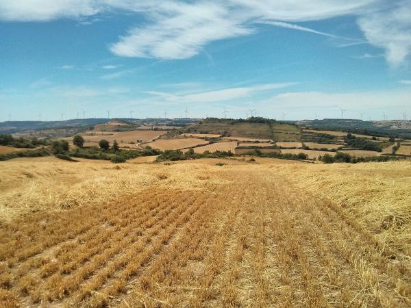 29 de Juliol de 2013 Troços segats  Calaf -  Ramon Sunyer