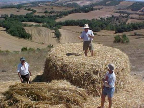 nous pallers - La Guàrdia Pilosa