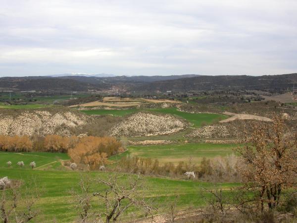 13.3.2013 Al fons Sanaüja  Vall del Llobregós -  Ramon Sunyer