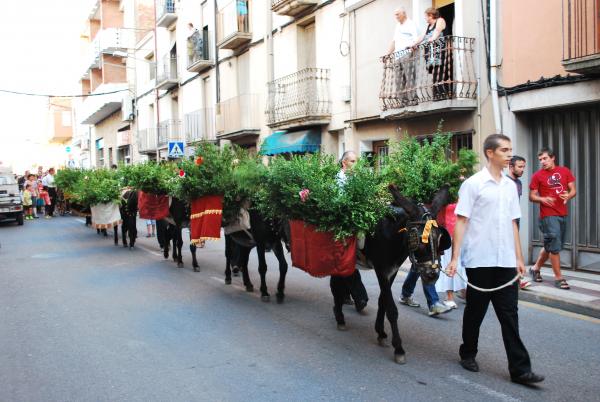 19 de Agost de 2013 Arribada de l'aigua per Sant Magí  Cervera -  Ramon Prats