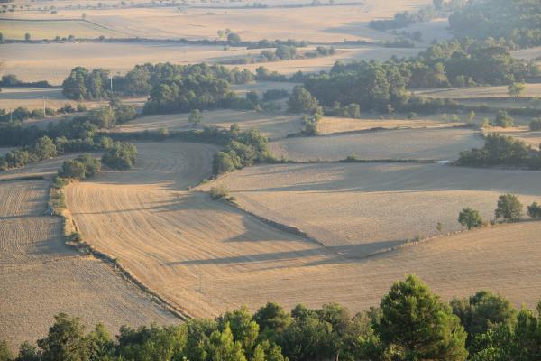 11 de Setembre de 2013 Paisatge d' Aguiló  Aguiló - 