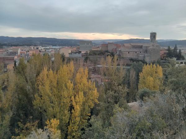 2 de Novembre de 2013 Les pollancres ja  s'omplen de tardor  Torà -  Ramon Sunyer