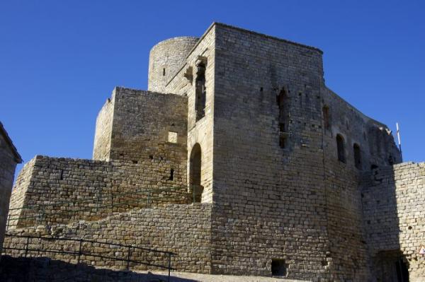 26.11.2013 Rampa d'accés al castell  Sant Pere Sallavinera -  Acna