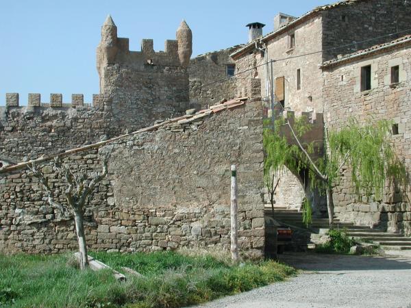 11 de Desembre de 2013 Vista del castell  L'Aranyó -  CC Segarra