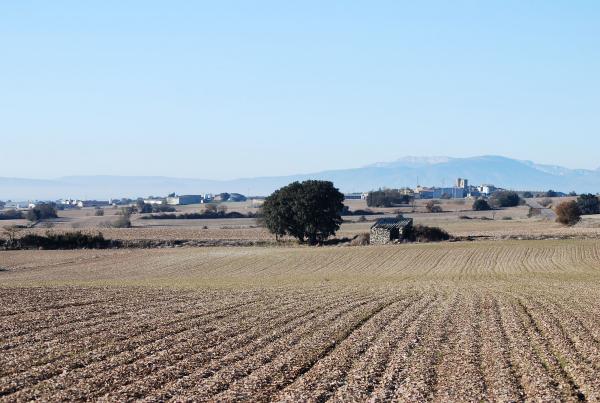 16 de Desembre de 2013 Paisatge a l'altiplà  -  Ramon Sunyer