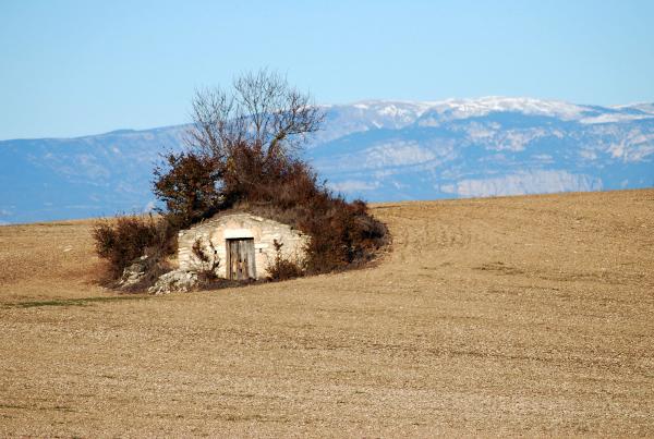 15 de Desembre de 2013 Paisatge a l'altiplà  Segarra -  Ramon Sunyer