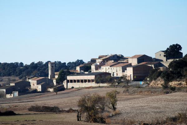 15 de Desembre de 2013 Vista general  Viver de Segarra -  Ramon Sunyer