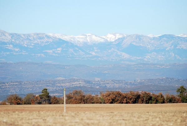 15 de Desembre de 2013 Paisatge a l'altiplà  Segarra -  Ramon Sunyer