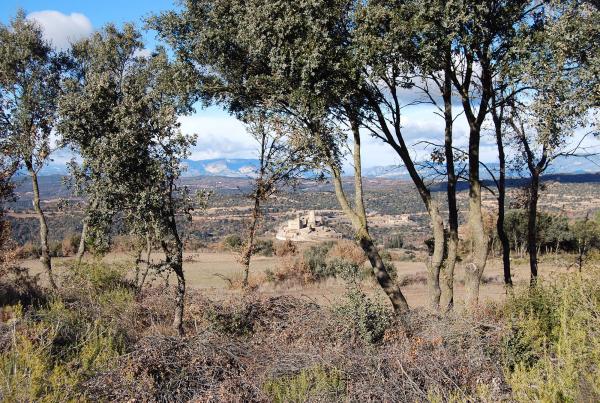 26 de Desembre de 2013 Vista del poble  Lloberola -  Ramon Sunyer