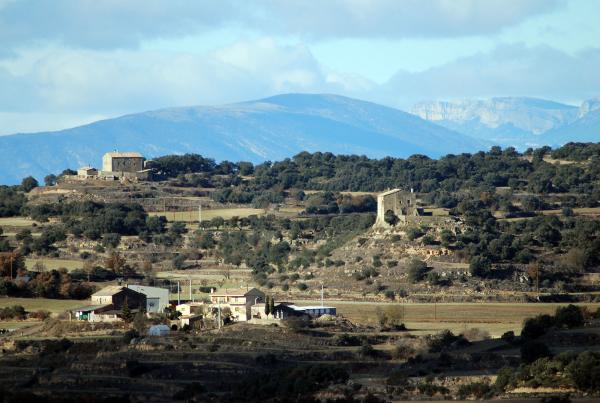 26.12.2013 Tossal de les Feixes  Puigredon -  Ramon Sunyer