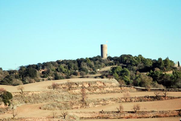 La torre 2.2.2014 La torre La Manresana - Ramon Sunyer