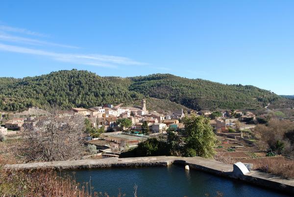 Des de la bassa 2.2.2014 Des de la bassa Copons - Ramon Sunyer